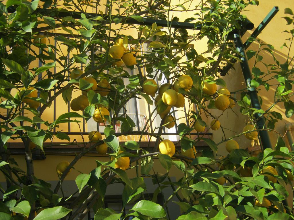 Uzzano Holiday Home Il Borgo Degli Agrumi מראה חיצוני תמונה